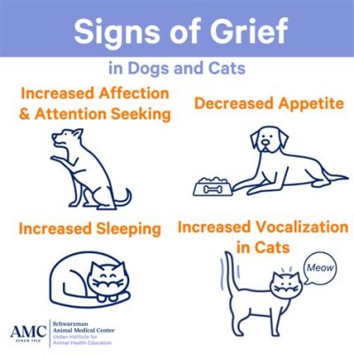 How Long Does It Take to Grieve a Pet: And Why Do We Sometimes Grieve More for Animals Than People?