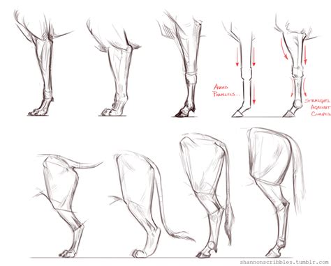 How to Draw Animal Legs: Unlocking the Secrets of Nature's Blueprint