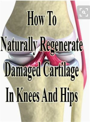 How to Repair Cartilage Naturally: Exploring the Mysteries of Joint Health